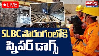 SLBC Tunnel Collapse🔴LIVE : SLBC సొరంగంలోకి డాగ్స్ | Sniffer Dogs Deployed To Rescue Trapped Workers