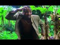 Ndoto - Laurent Makungu 2 - A Swahili Movie