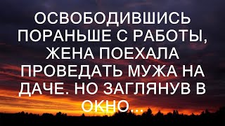 Освободившись пораньше с работы, жена поехала проведать мужа на даче. Но заглянув в окно...