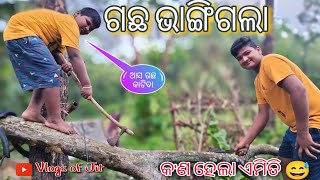 ବର୍ଷାରେ ଗଛ ଭାଙ୍ଗିଗଲା🌳🌳କ'ଣ ହେଲା ଏମିତି😱 ||new vlog||@Ranjit_vlogs__07