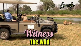 EP 139.A - ( INDO SUB ) Safari Adventure in Serengeti: Witness the Wild!