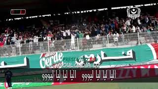 Ultras verde leone افضل اداء لأفضل اغاني العميد