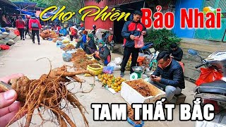 Khám phá CHỢ BẢO NHAI LÀO CAI phiên chợ mộc mạc bán toàn đặc sản Tây Bắc | Tôi Người Vùng Cao