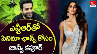 ఎన్టీఆర్ తో  సినిమా ఛాన్స్ కోసం జాన్వీ కపూర్ | janhvi Kapoor Waiting For NTR Movie Chance | TTM