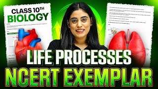 Complete LIFE PROCESSES Revision✨ | NCERT Exemplar | Class 10th