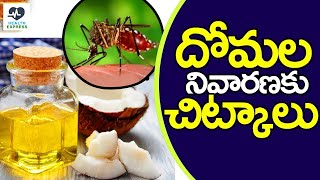 దోమల నివారణకు చిట్కాలు | Simple Tips To Get Rid Of Mosquitoes | Health Xpress