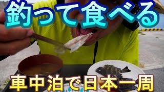 【釣り食べ】須津漁港（島根県浜田市）釣ったアジとシマダイを食べる！