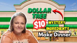 Dollar Tree $10 Mystery Ingredients Make Dinner || Budget Cooking in 2026