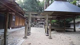 巨樹名木探訪　水越神社の大スギたち　木の情報発信基地　P2270356