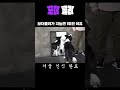 보더콜리가 지능견 1위인 이유 shorts