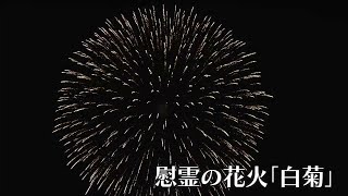 【長岡空襲から79年】慰霊の花火「白菊」打ち上げ 《新潟》