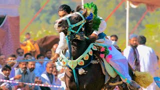 Ch Zaryab Bashir Tarrar of pindi kalu | Ghora dua e ali a.s |