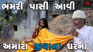 ભમરી પાસી આવી  | deshi Comedy | Comedy Video | Desi Paghadi