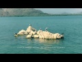 Lake Skadar Montenegro Boat trip all around