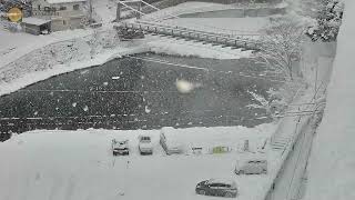 2025年1月10日の雪　落雪注意