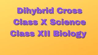 Class 7|| Dihybrid Cross