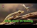 Lagu Anak - CICAK CICAK DI DINDING