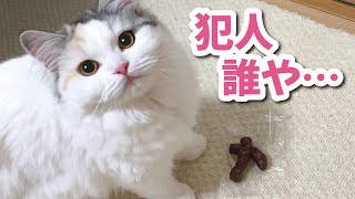 かりんとうをう〇ちと勘違いしまくる猫【おしゃべりする猫】 【猫アテレコ】