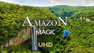 Amazon Max Beauty 4K Scenic Relaxation