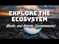 EXPLORE THE ECOSYSTEM | What is an Ecosystem? | BIOTIC and ABIOTIC COMPONENTS of an ECOSYSTEM