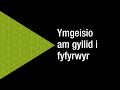 Canllaw rhiant – ymgeisio am gyllid i fyfyrwyr