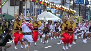 いなせ連／東口南通り演舞場／第31回南越谷阿波踊り2015（本祭二日目）