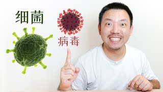 细菌和病毒有什么区别？拿出1张百元大钞，肉眼直接看出答案！