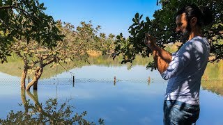 Laknavaram Lake in Telangana | Walk one the new bridge