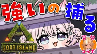 【ARK】初心者こより、強いの捕まえたい。【博衣こより/ホロライブ】