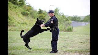 HCSO Employee Spotlight: Deputy D. Thomas and K9 Grizly