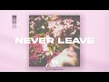 Never Leave - Instrumental (Alternative R&B, SZA x Justin Bieber Type Beat)