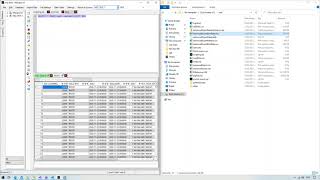 Just Data (Netezza oriented SQL Editor) - scripting