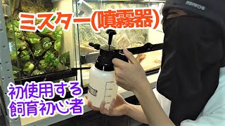 【レビュー】蓄圧式噴霧器ミスターを初めて使ったら便利すぎて興奮した【爬虫類飼育初心者】