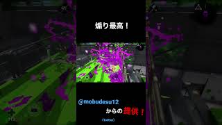 【野良】ガチホコでリスキルしながら煽ったったwww【スプラトゥーン2】【提供動画】