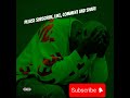 AMAPIANO CHILLED MIX :KELVIN MOMO AMUKELANI ALBUM MIX