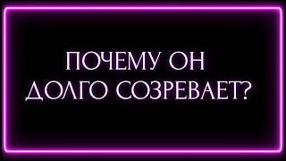 ПОЧЕМУ ОН ДОЛГО СОЗРЕВАЕТ?