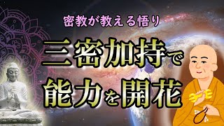 【密教】同じ仏教でも空海の教えは心が温まる｜悟りとは何かを知ると思わぬ能力が開花する！【三密加持】