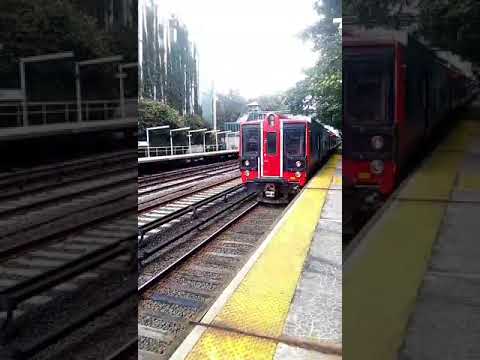 Metro North M3A M7A M8 P32ACDM Genesis Trains Action At Botanical ...