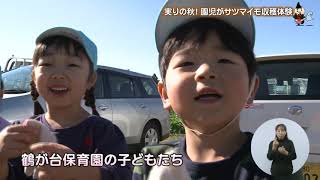 ハーモニアスＮｅｗｓ（１１・１２月）援農ボランティアが育てたサツマイモを保育園の子どもたちが収穫体験、「生誕90年記念 開高健の世界2020展」