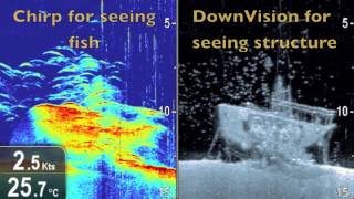 Pittwater Wreck - Raymarine