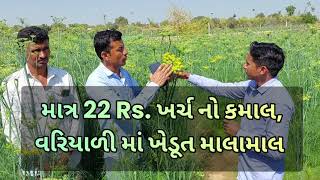 માત્ર 22 Rs. ખર્ચ થી વરિયાળી માં ઉત્પાદન માં વધારો - Black Amrut best results in Funnel