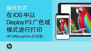 如何通过 iPhone 或 iPad 以 Display P3 广色域模式进行打印 | HP OJ Pro 打印机 | HP Support