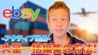 【eBay輸出】アクティブ出品の情報を大量一括にファイルエクスチェンジで変更する方法