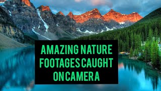 Amazing nature views footage caught on camera