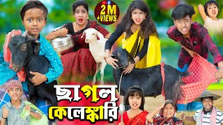 ছাগল কেলেঙ্কারি | Chagol Kelankari || No 1 Gramin TV Latest Bangla Funny  natok