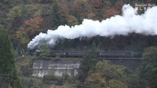 SL 飯山線ロマン号　試運転 　2016.11.8   ③　足滝駅ー森宮野原駅　HDV 690