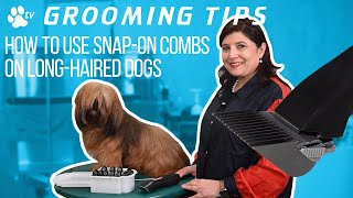 How to use snap-on combs on long-haired dogs | Grooming Tips - TRANSGROOM