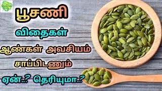 பூசணி விதை பயன்கள் | pumpkin seeds benefits in tamil | poosani vithai benefits in tamil