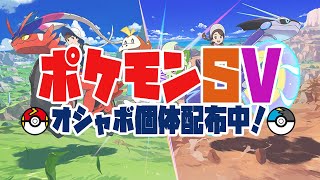 【 オシャボ配布 】孵化厳選しながら孵化余りをプレゼント中！2022/12/21【 ポケモンSV 】