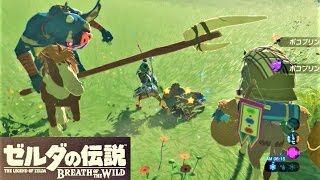 【馬に乗った荒くれ者 : ソエのイベント】 攻略 ゼルダの伝説 ブレスオブザワイルド  \